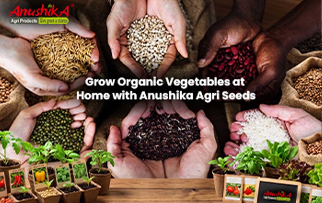 ANUSHIKA EARLY GREEN KIe