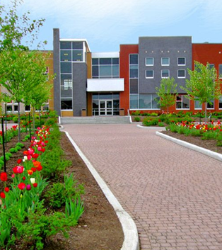 Easy Landscape Ideas for Schools