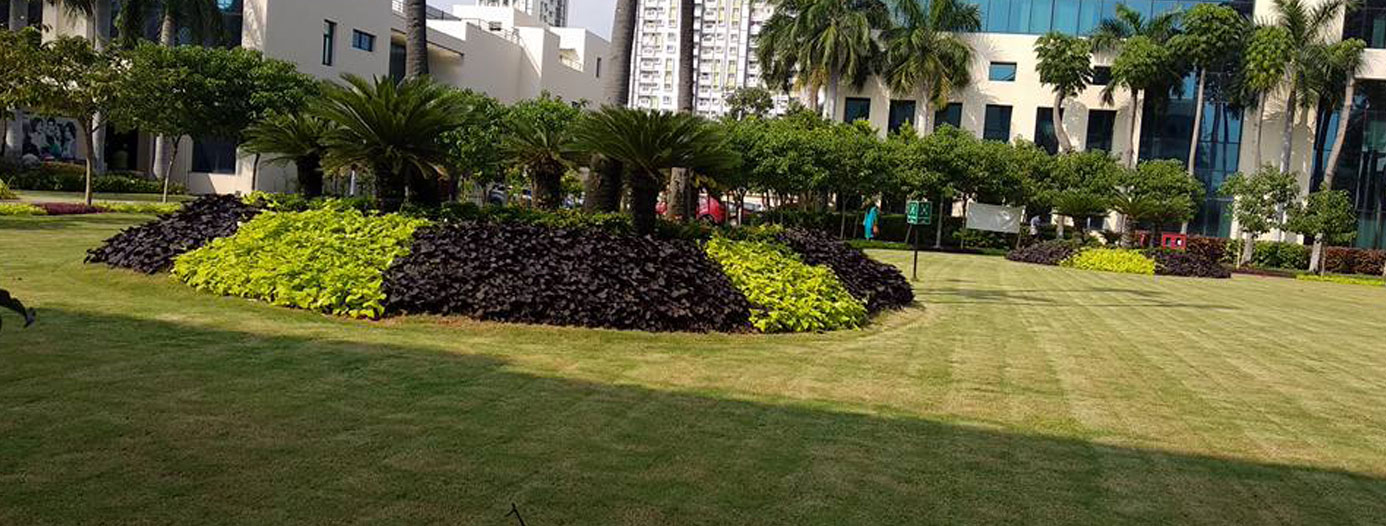 Landscaping Ideas for Corporate