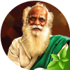 Nammalvar Organic Farming