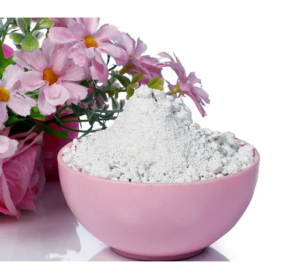 Thermal Power Plant Ash Handling System