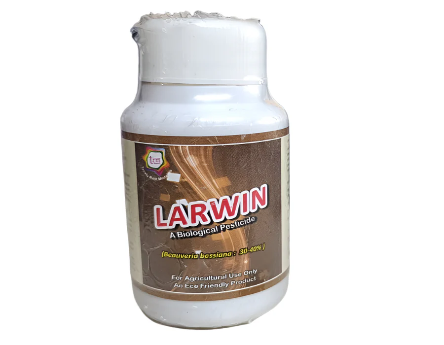 Prime Precisions Slat Chain Conveyor System