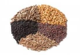 Prime Precisions Submerged Ash Conveyor