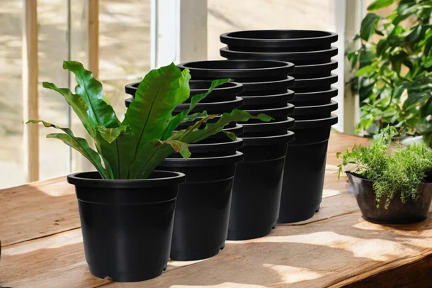 Prime Precisions Drag Chain Conveyor