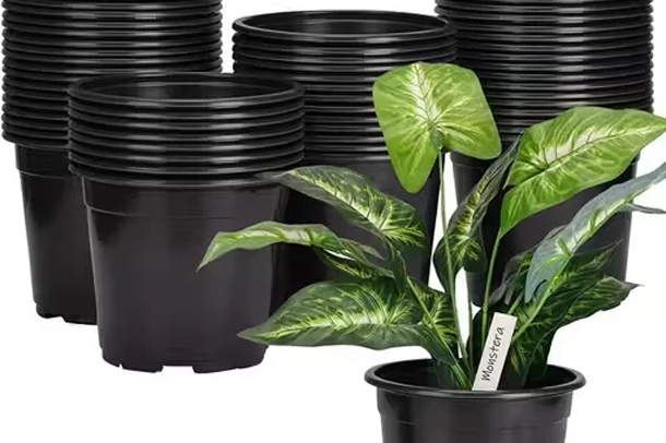 En-Masse Bulk Material Handling System