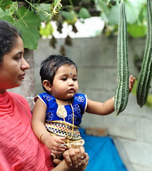 Rooftop Gardening Customers Photos