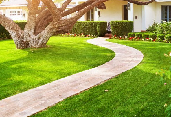 Landscaping Service in Chennai