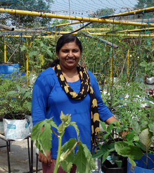 Terrace Gardening Photos